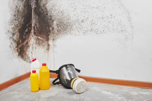 Best Local Mold Removal Service  in Garrett, WA