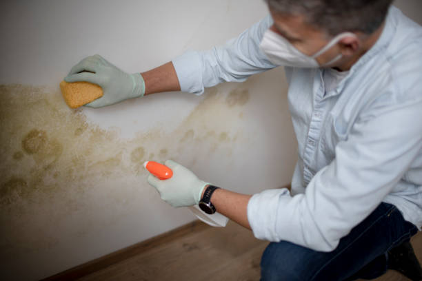 Best Certified Mold Removal  in Garrett, WA