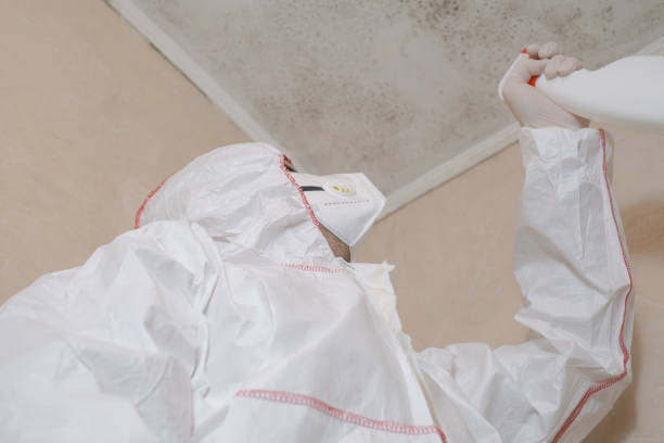 Certified Mold Removal in Garrett, WA