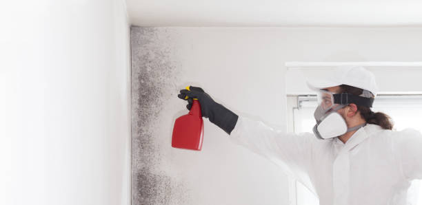 Best Water Damage Restoration  in Garrett, WA