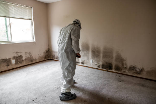 Best Mold Testing  in Garrett, WA