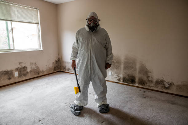 Best Attic Mold Removal  in Garrett, WA