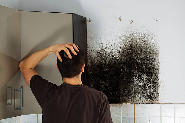 Best Mold Cleaning Services  in Garrett, WA