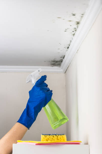 Best Toxic Mold Removal  in Garrett, WA